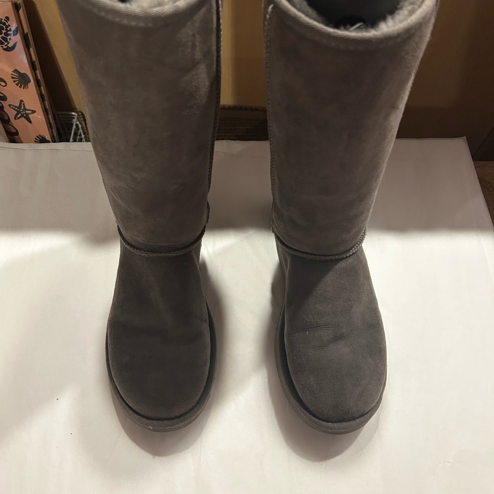 UGG Women's Gray Winter Boots
